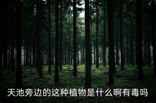 荚蒾图片，鲆鱼的图片