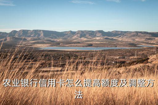 农业卡怎么提高余额度，农业银行信用卡 怎么提升额度 已经用卡一年多有没有发短信提升额