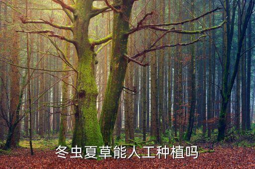 虫草种植，冬虫夏草能人工种植吗