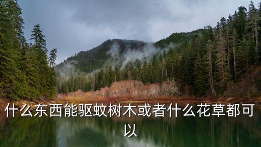 驱蚊竹，什么东西能驱蚊树木或者什么花草都可以