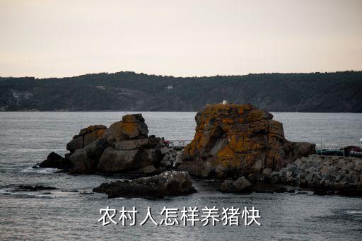 农村人怎样养猪快