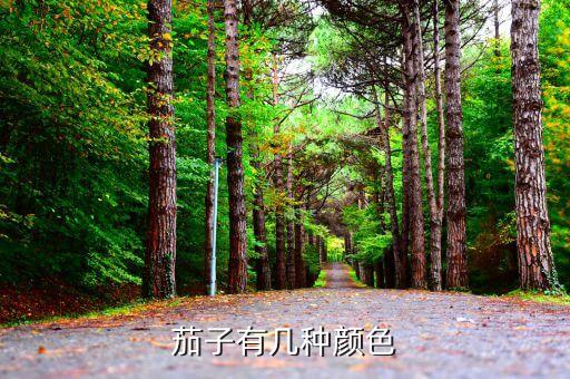 茄子有几种颜色