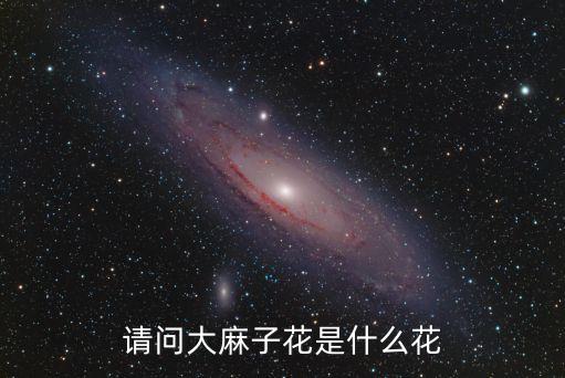 大纽子花，大栀子花什么时候开怎么养黄叶子怎么处理