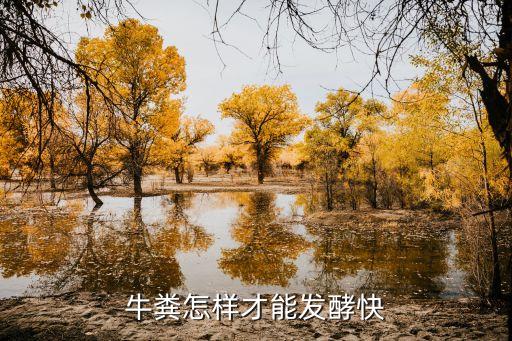 牛粪发酵，牛粪怎么快速完成发酵呢