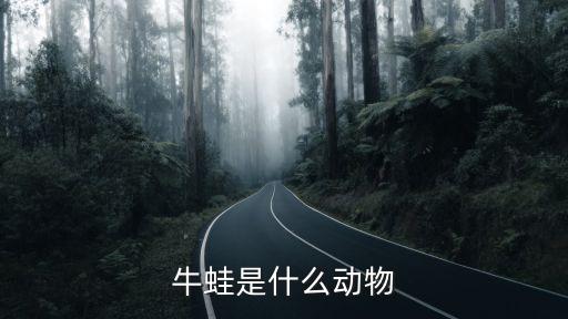 牛蛙是什么动物