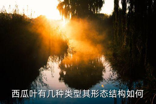 西瓜叶，西瓜叶是甚么样的