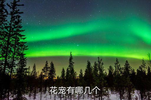 花宠有哪几个