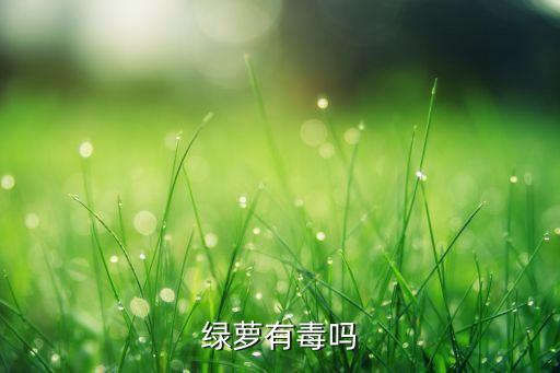 绿萝有毒吗