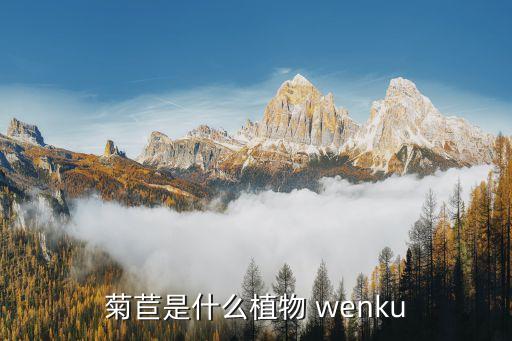 菊苣是什么植物 wenku