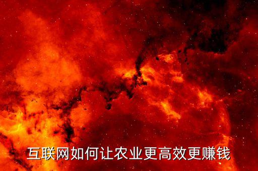 互联网如何让农业更高效更赚钱