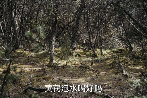 黄芪能泡水喝吗，黄芪能泡茶喝吗