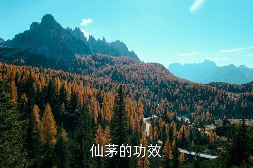 仙茅，仙茅草是仙茅吗