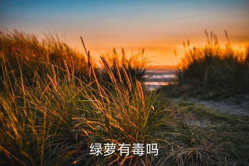 绿萝有毒吗