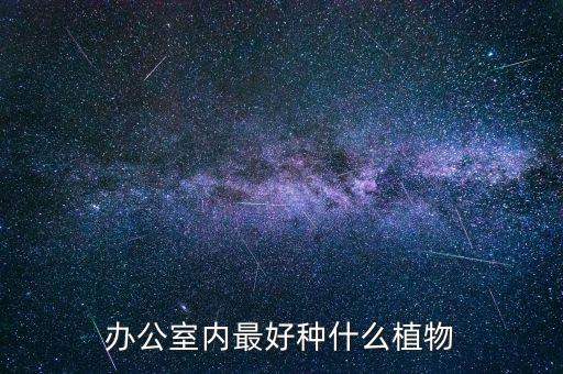 办公室植物，办公室内最好种什么植物