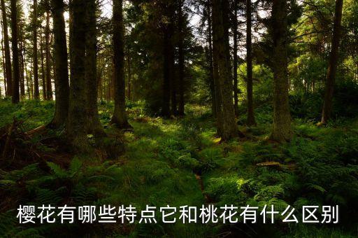 樱花的特点，樱花有哪些特点它和桃花有什么区别