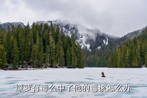 绿萝有毒么中了他的毒该怎么办