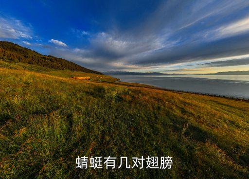 蜻蜓有几对翅膀