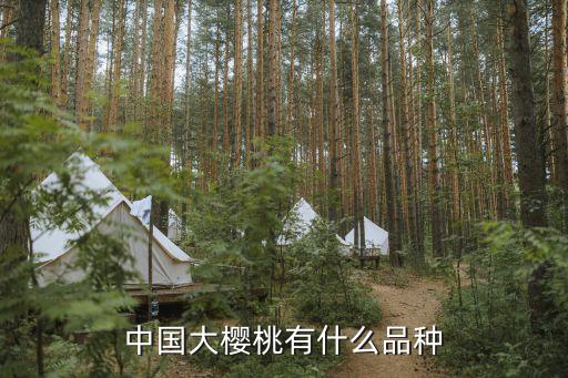 中国大樱桃有什么品种