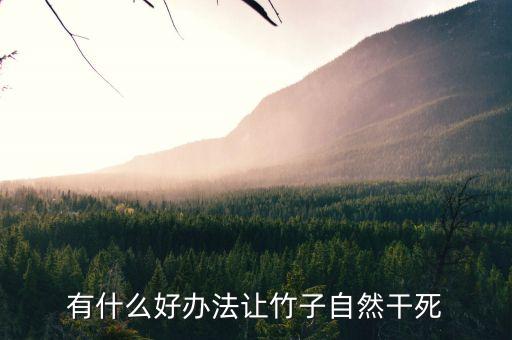 有什么好办法让竹子自然干死