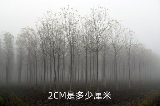 2CM是多少厘米