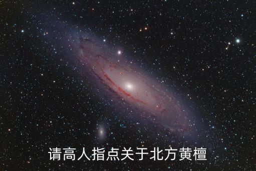 请高人指点关于北方黄檀