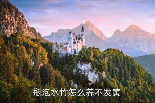 瓶泡水竹怎么养不发黄
