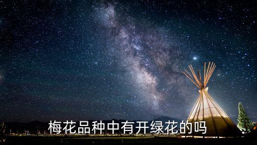 绿梅花，梅花品种中有开绿花的吗
