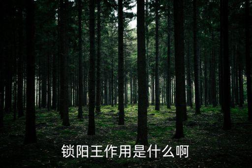锁阳功效与作用，锁阳王作用是什么啊