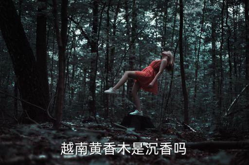 黄香木，湖南哪 生长黄香木和紫光檀