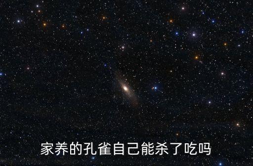 家养的孔雀自己能杀了吃吗