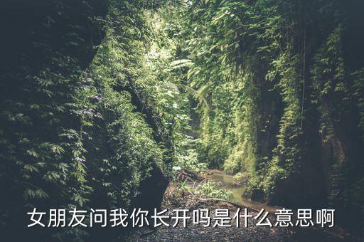 长开了是什么意思，长开了是什么意思啊是形容漂亮还是只形容看起来像大