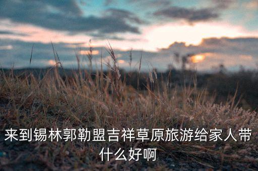 吉祥草原，第一届吉祥草原锡林郭勒那达慕是什么时候举办的