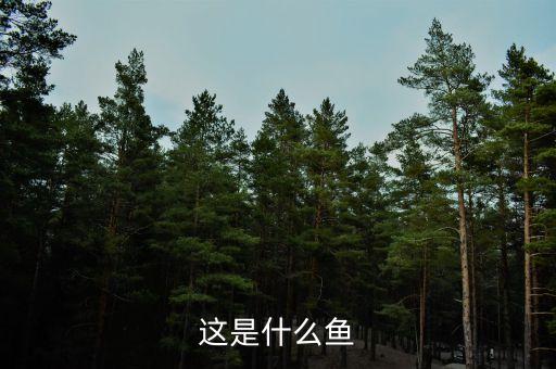 拐子鱼，拐子鱼是发物吗