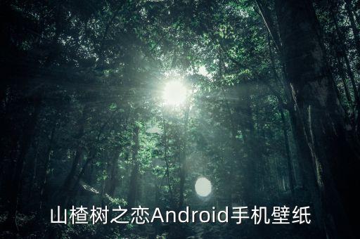 山楂树图片，山楂树之恋Android手机壁纸