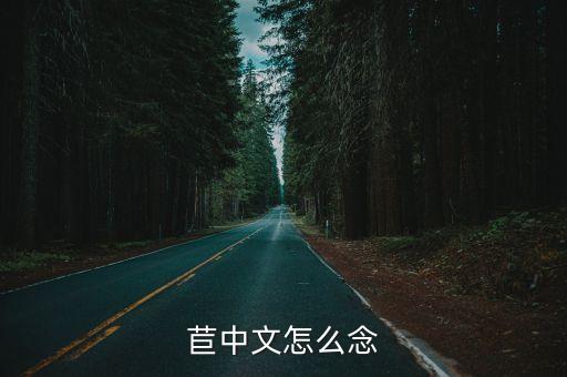 苣，苣读音是什么