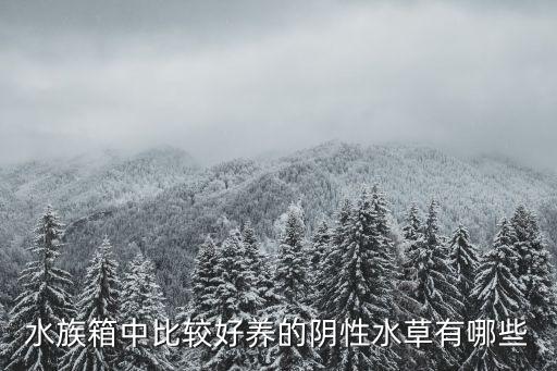 水族箱中比较好养的阴性水草有哪些