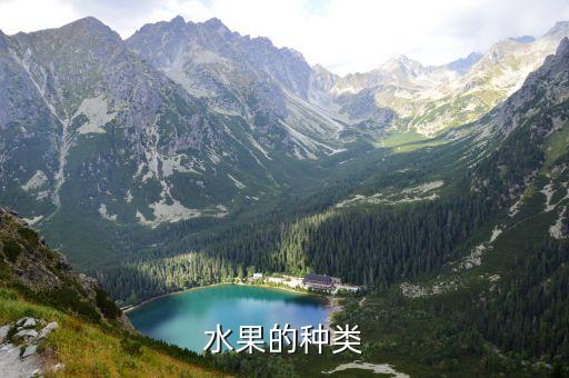水果的种类