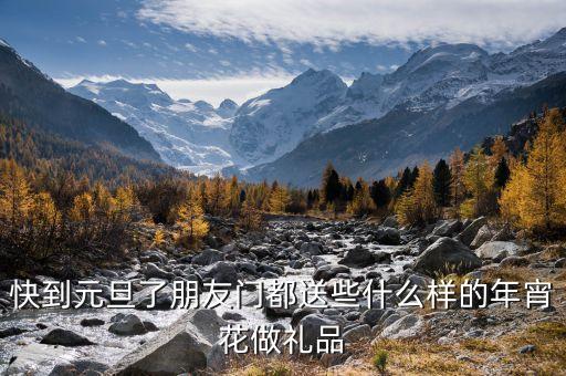快到元旦了朋友门都送些什么样的年宵花做礼品