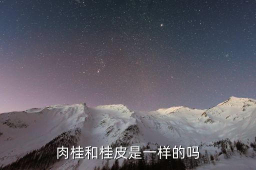 肉桂是不是桂皮，肉桂和桂皮是一样的吗