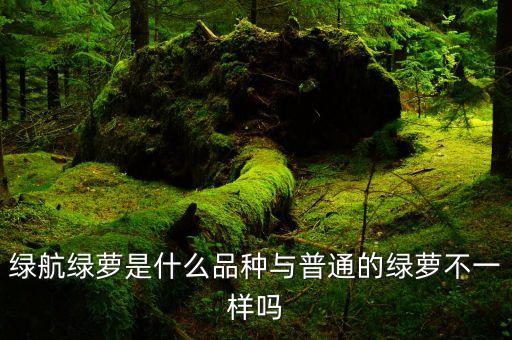 绿航绿萝是什么品种与普通的绿萝不一样吗