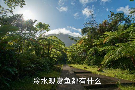 冷水观赏鱼，冷水观赏鱼有哪些