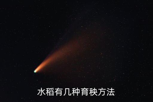 水稻育秧技术，水稻育苗的关键技术是啥