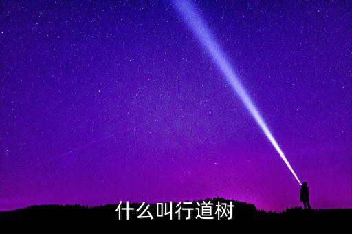 行道树，行道树 行道树的职责是什么