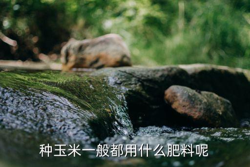 玉米施肥，玉米怎么追肥