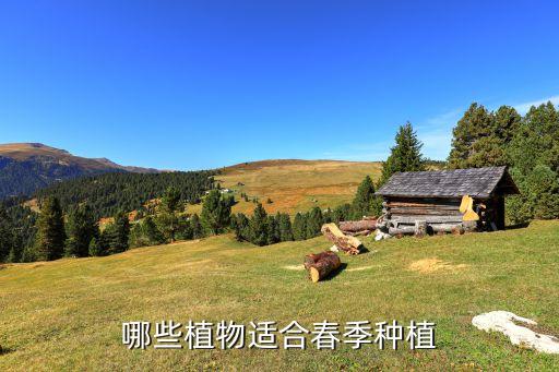 哪些植物适合春季种植