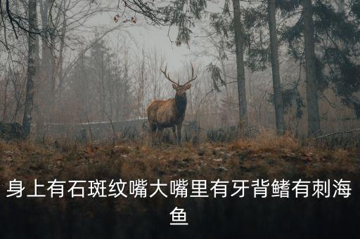 中华乌塘鳢，身上有石斑纹嘴大嘴里有牙背鳍有刺海鱼