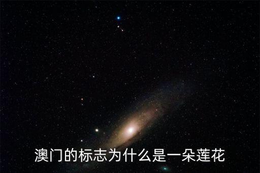一朵莲花图片，一 荷花