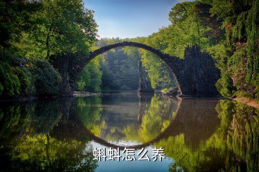 蝌蚪怎么养