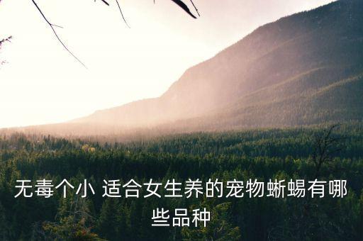 无毒个小 适合女生养的宠物蜥蜴有哪些品种