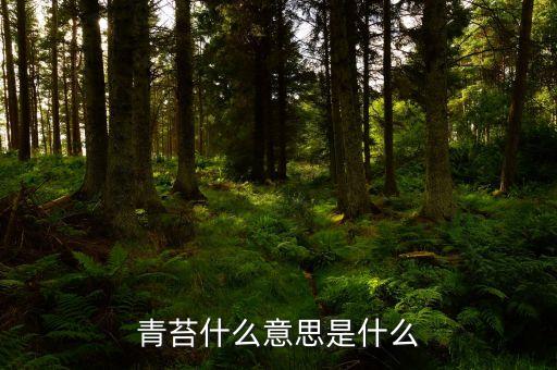 青苔是什么，青苔的意思是什么
